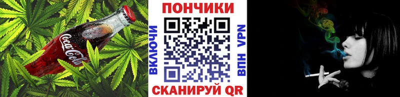 Canna-Cookies конопля  mega ссылки  Жуковка 