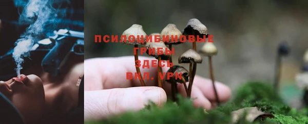гашишное масло Россошь